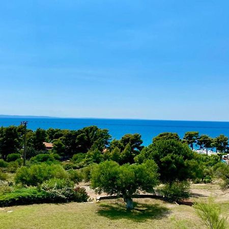 Olivia Estate Villa With Private Swimming Pool Elia Nikitis Exterior photo