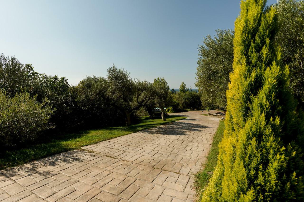 Olivia Estate Villa With Private Swimming Pool Elia Nikitis Exterior photo