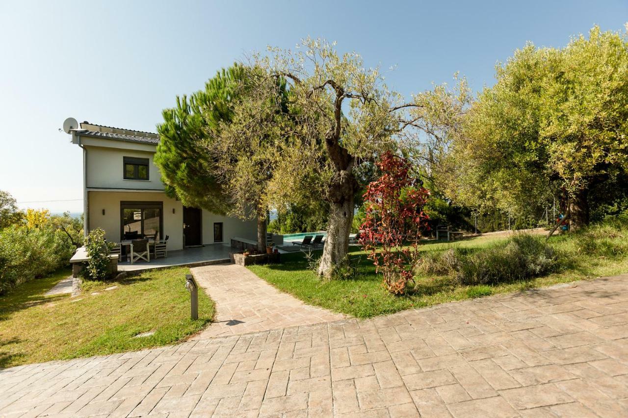 Olivia Estate Villa With Private Swimming Pool Elia Nikitis Exterior photo