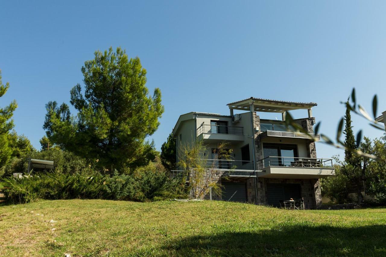 Olivia Estate Villa With Private Swimming Pool Elia Nikitis Exterior photo